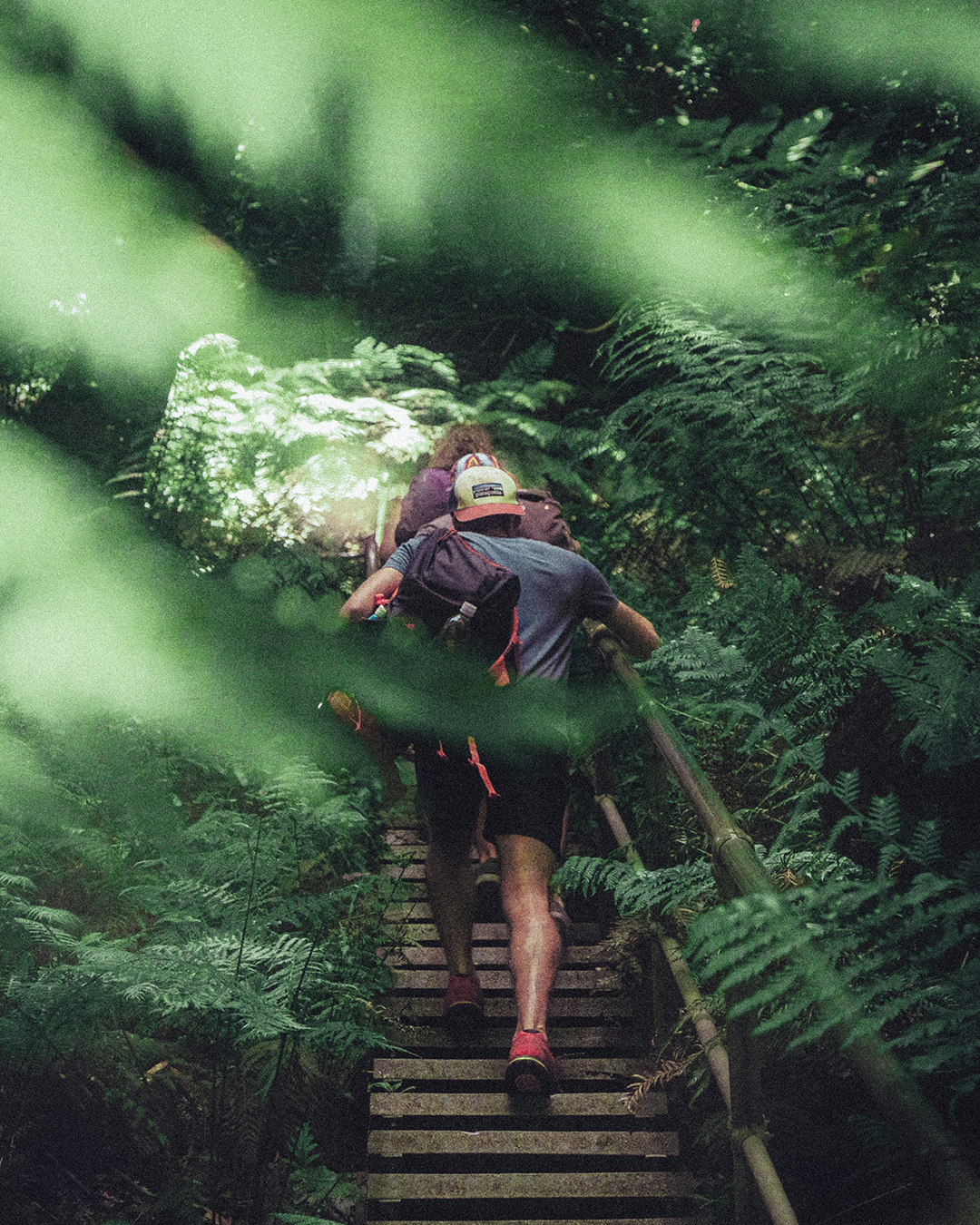 Potovanje_v_paru_-_A_trip_in_pairs_-_Photo_by_Christopher_Burns_on_Unsplash.jpg