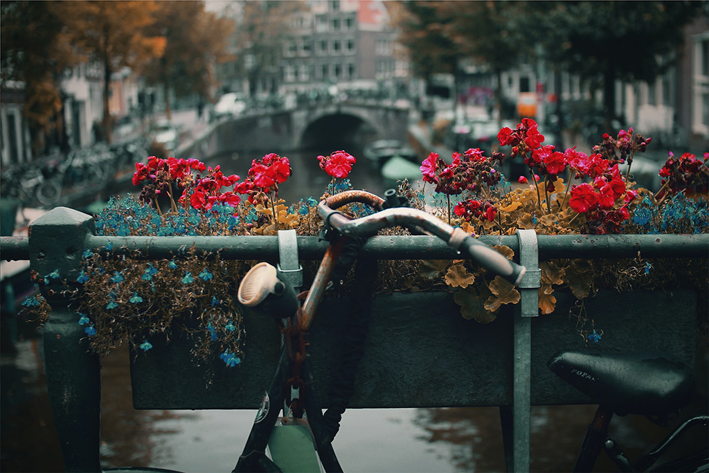 Potovanje_v_Amsterdam_-_Travel_to_Amsterdam_-_Photo_by_Nick_Scheerbart_on_Unsplash.jpg
