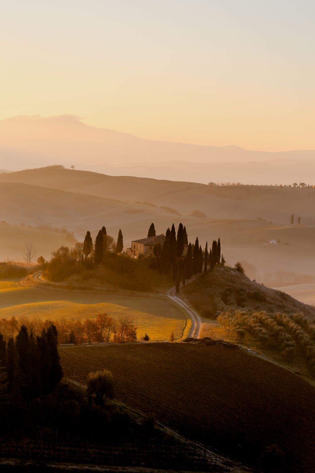 Photo_by_Giuseppe_Mondi_on_Unsplash.jpg