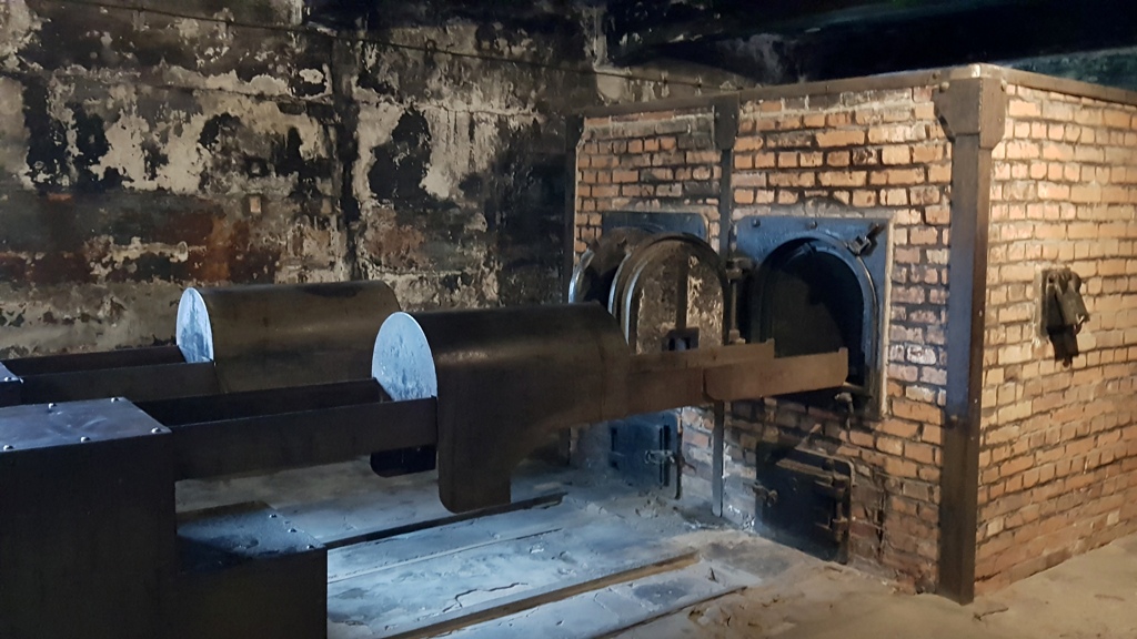Auschwitz_in_Birkenau_4.jpg
