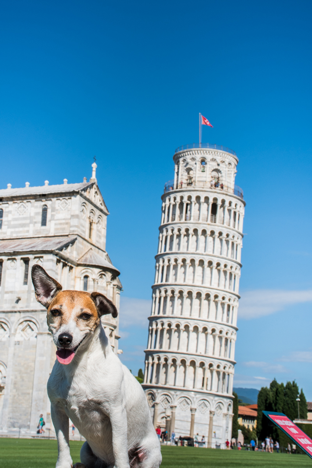 Kuzki_radi_potujejo_-_Dogs_Like_to_Travel_4.jpg