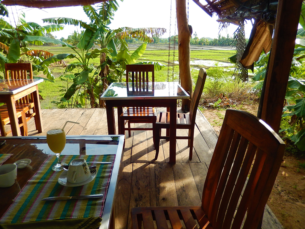 Breakfast_with_a_view_.jpg