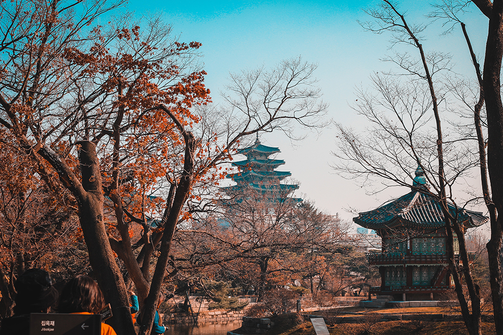 Photo_by_Louie_Nicolo_Nimor_on_Unsplash.jpg