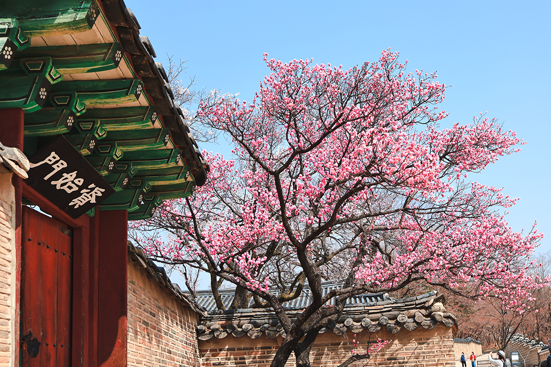 02_Znamenitosti_Seula_-_Seoul_tourist_attractions_-_Changdeokgung_Palace_-_Photo_by_Soyoung_Han_on_Unsplash.jpg