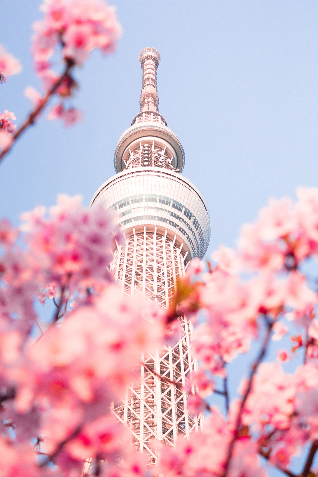 03_Tokijske_turisticne_znamenitosti_-_Tokyo_tourist_attractions_-_Photo_by_Atul_Vinayak_on_Unsplash.jpg
