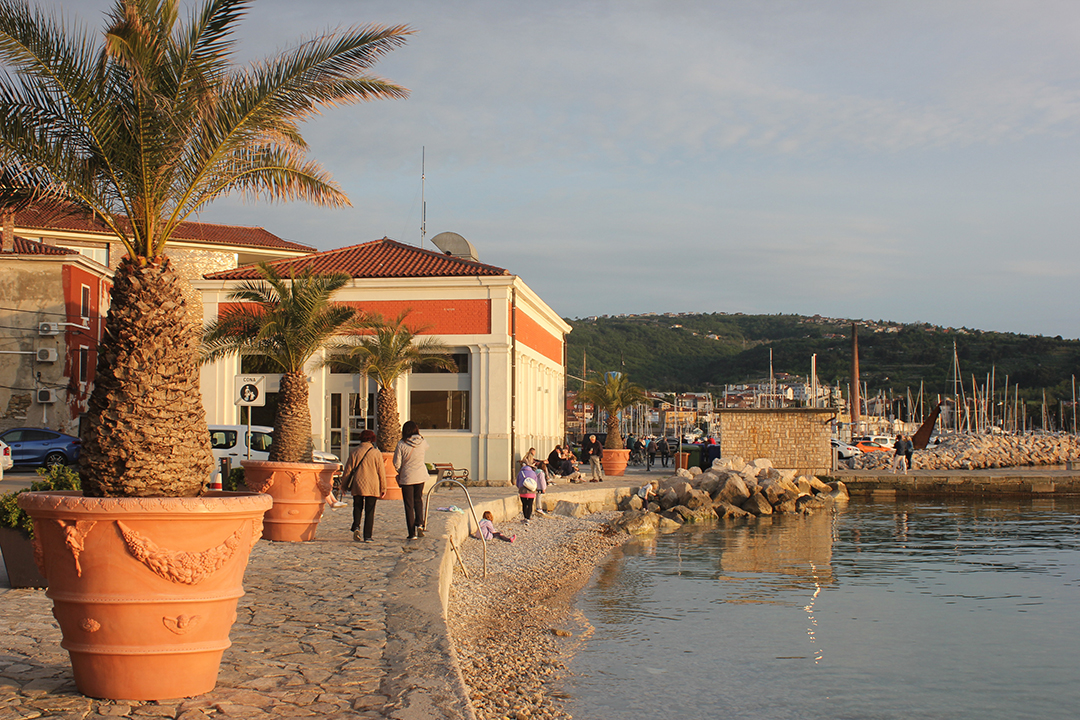 Izolski_Festival_oranznih_vin_-_Izola_Orange_Wine_Festival_7.JPG