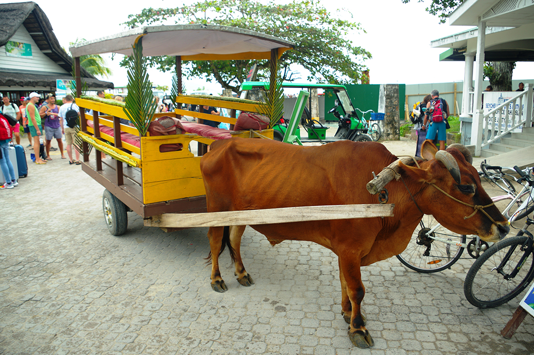 Potovanje_na_Sejsele_-_Travel_to_Seychelles_4.JPG