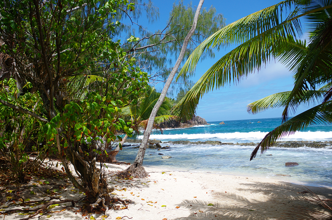 Potovanje_na_Sejsele_-_Travel_to_Seychelles_8.JPG