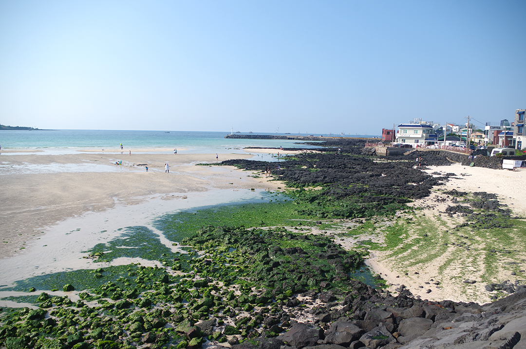 Potovanje_na_Jeju_-_Visit_Jeju_9.JPG