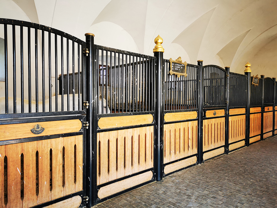 Kobilarna_Lipica_-_Stud_farm_Lipica_15.jpg