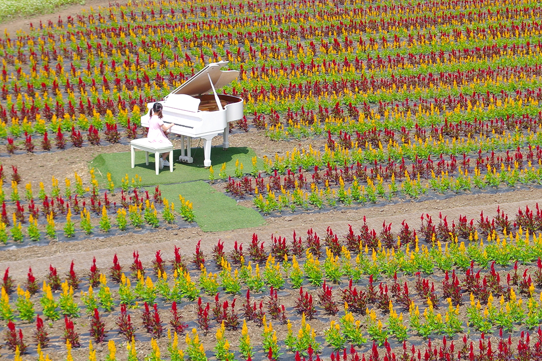 Najjuznejsi_korejski_otok_Jeju_-_The_southernmost_Korean_island_of_Jeju__8.JPG