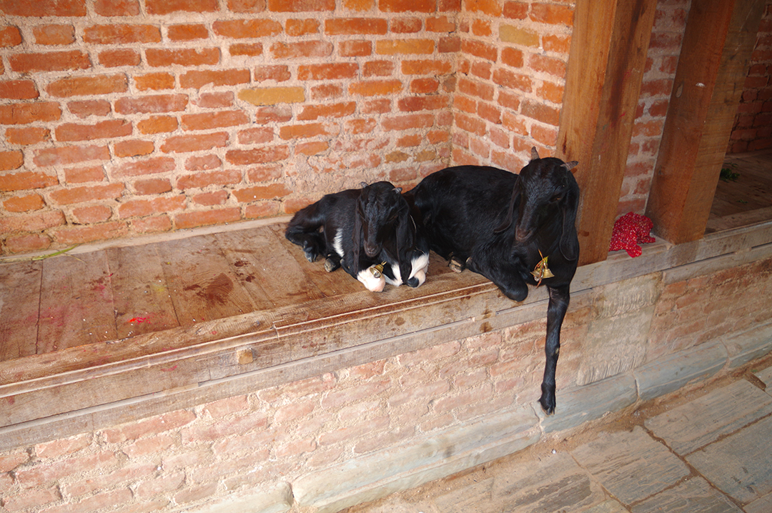 Potovanje_v_Nepal_-_Traveling_to_Nepal_4.JPG