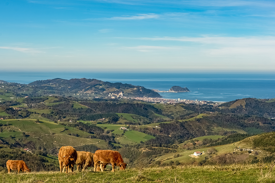 08_Ogled_Spanskega_mesta_Bilbao_-_Tour_of_the_Spanish_city_of_Bilbao_-_ENVATO.jpg