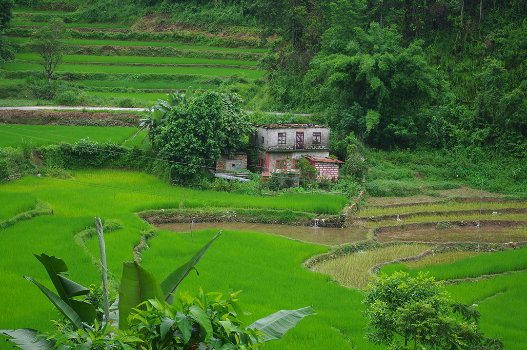 Popotniski_nasveti_za_Nepal_-_Travel_tips_for_Nepal_9.JPG