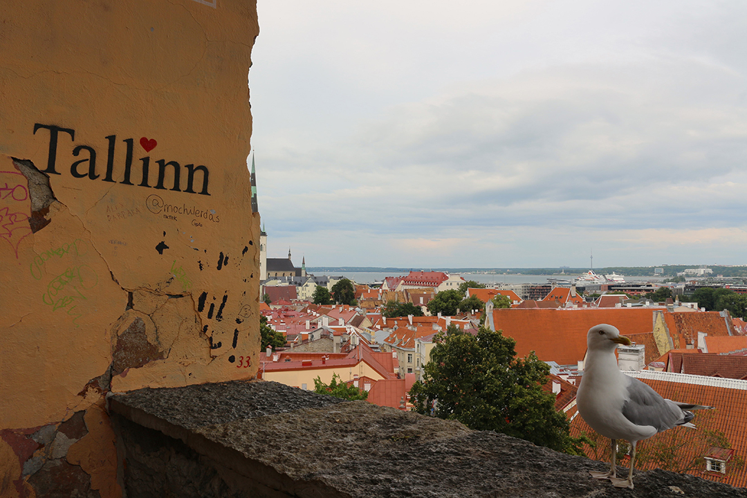 Raziskovanje_mesta_Tallinn_-_Exploring_Tallinn_4.JPG