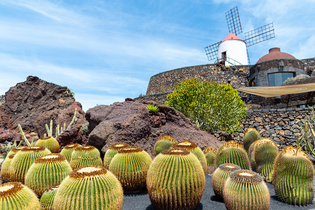 08_Raziskovanje_vulkanskega_otoka_Lanzarote_-_Exploring_the_volcanic_island_of_Lanzarote_-_ENVATO.jpg