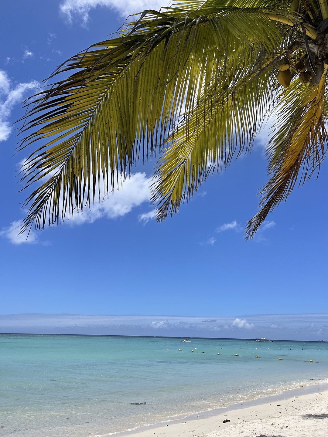 Potovanje_na_otok_Mavricij_-_Travel_to_the_island_of_Mauritius_5.jpg