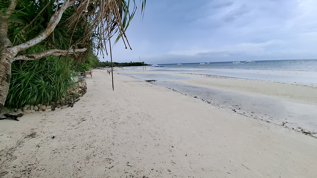 Raziskovanje_Bohola_-_Exploring_Bohol_10.jpg