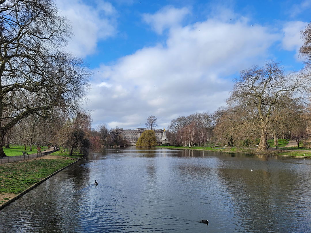 Miren pogled na St James’s Park z jezerom in Buckinghamsko palačo v ozadju – zelena oaza sredi Londona.